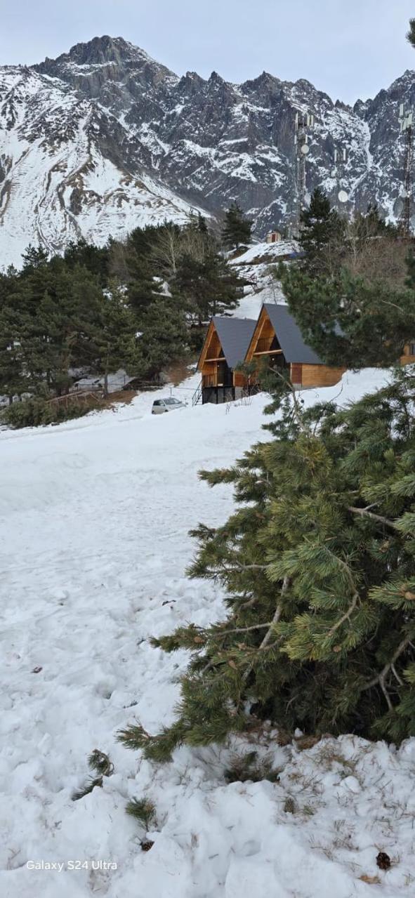 Cottage Paradise Kazbegi Dış mekan fotoğraf